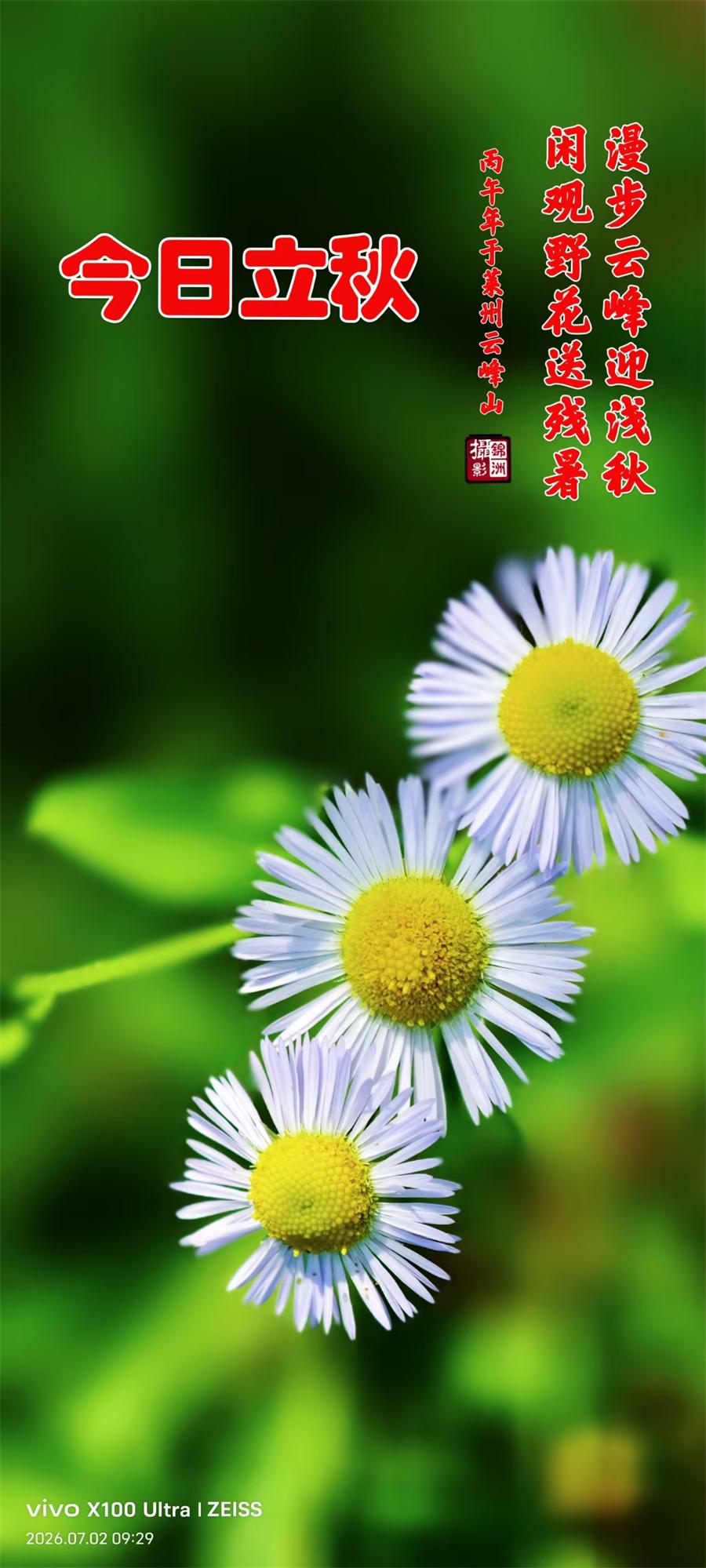 璀璨的莱州民俗文化——立秋 第 1 张 璀璨的莱州民俗文化——立秋 第 1 张