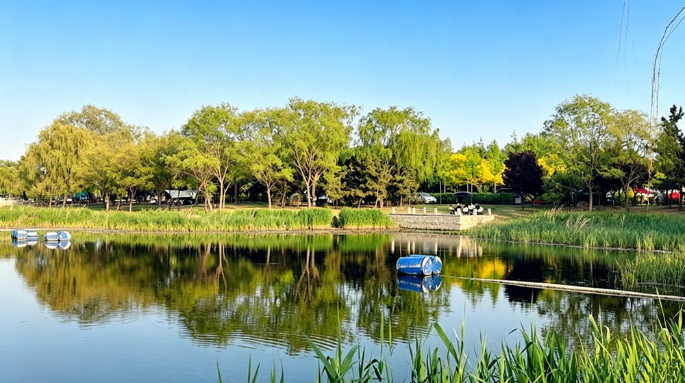 河套湿地公园：城畔湿地藏风雅 第 4 张