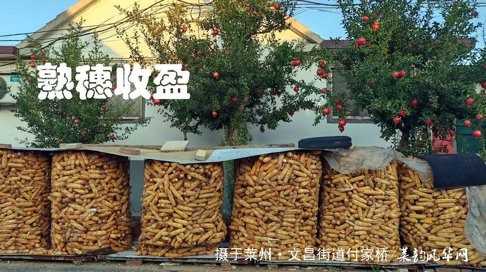 诗词十四首·寒露咏怀 第 2 张