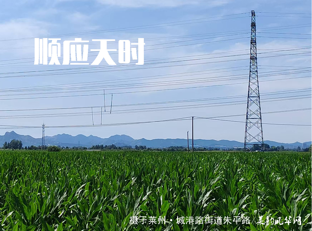 莱邑农谚解密（四）：东桨雾露西桨雨，南桨出来下涝雨 第 5 张