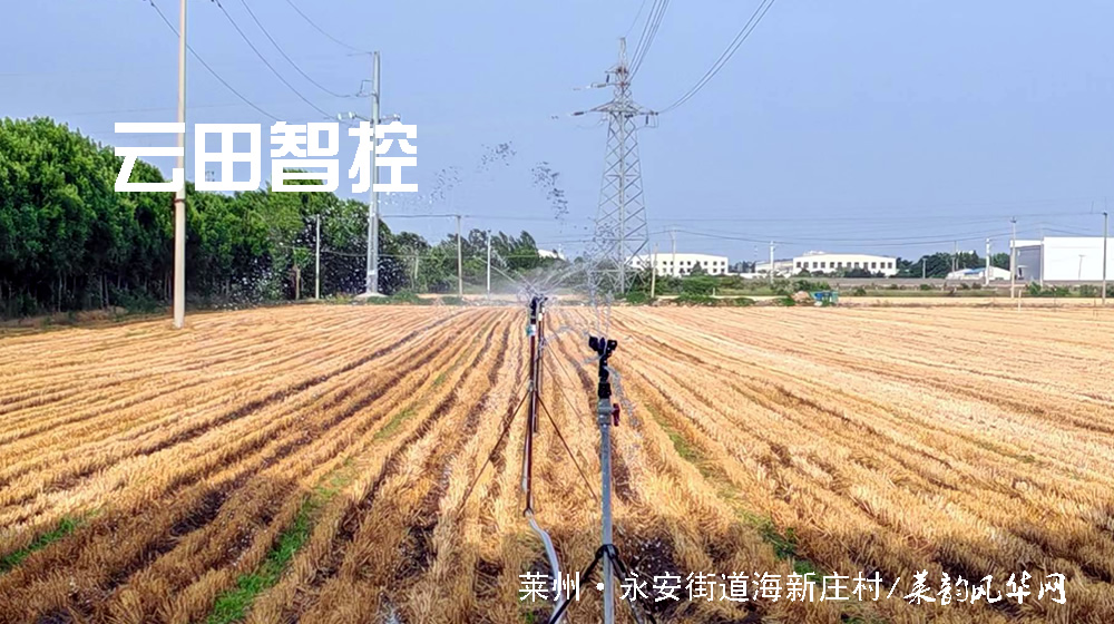七绝•莱州三夏 第 6 张 七绝•莱州三夏 第 6 张