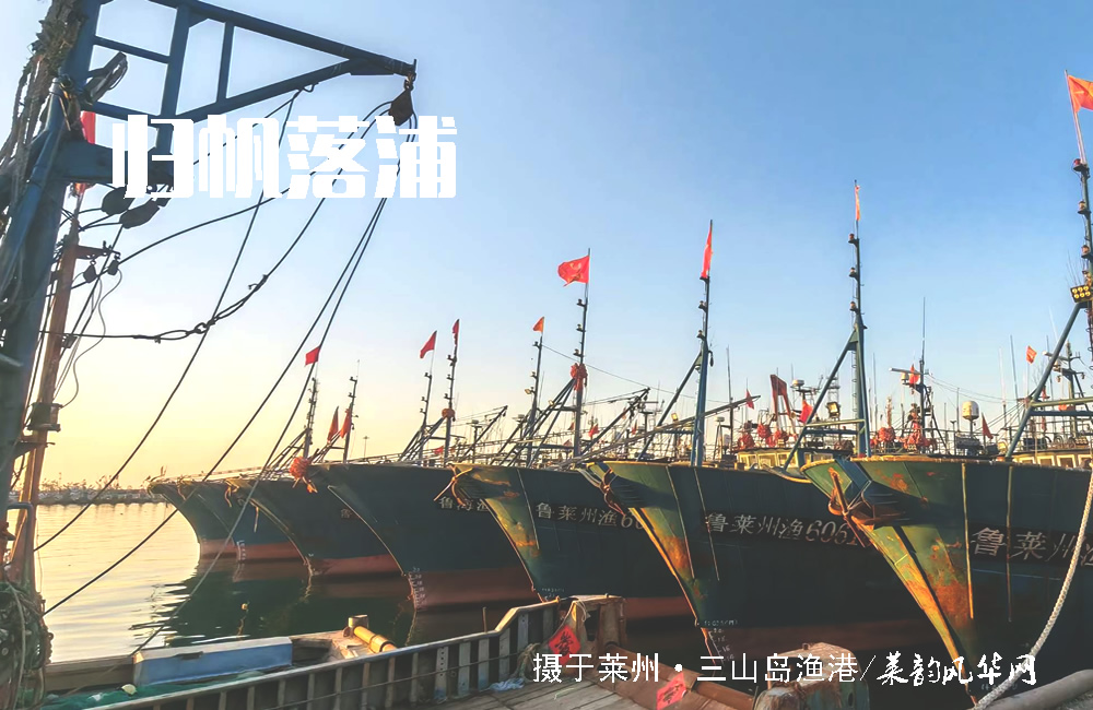 莱州山水知多少（五）——海域、港口 第 5 张
