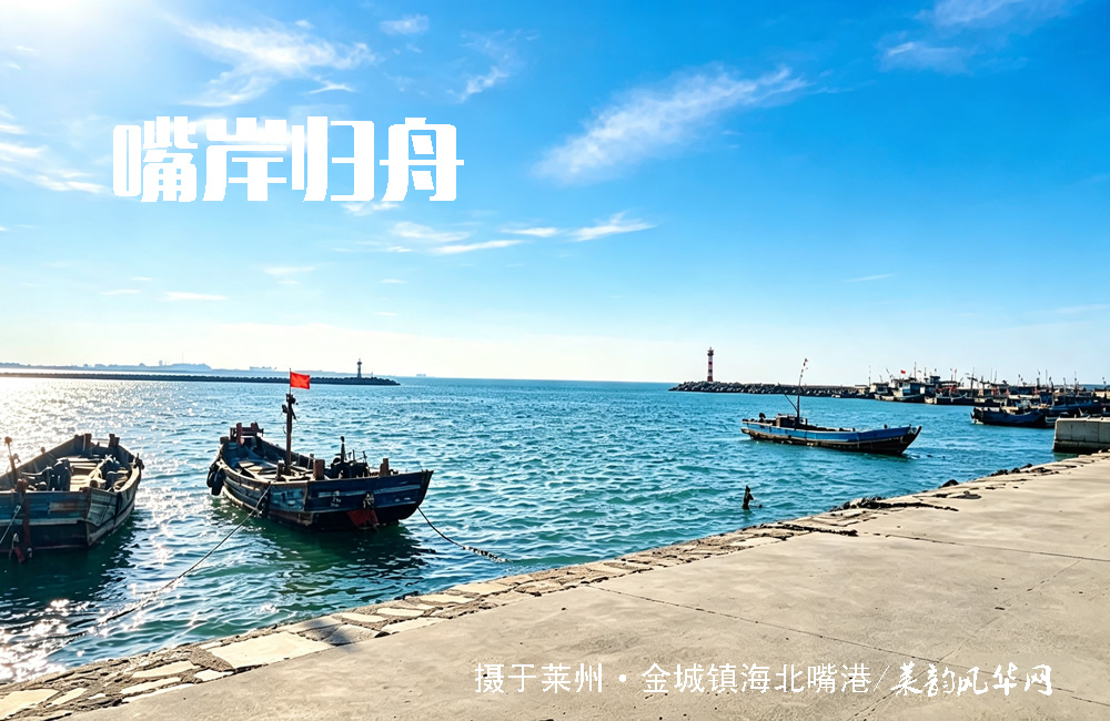 莱州山水知多少（五）——海域、港口 第 10 张