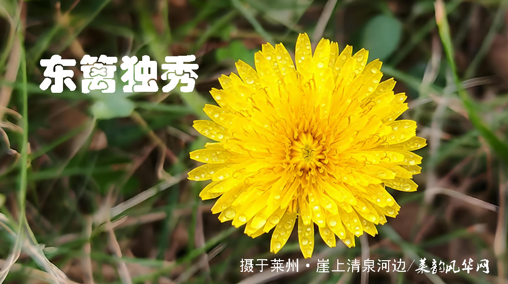 诗词十四首·寒露咏怀 第 2 张