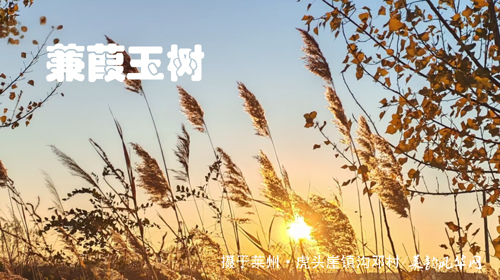 诗词十四首·寒露咏怀 第 9 张
