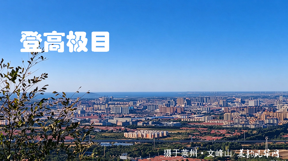 诗词十二首•感怀重阳 第 6 张