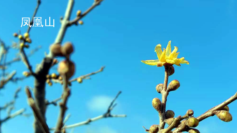 七绝•隆冬原野 第 4 张