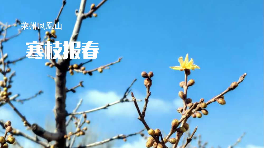 绝句三首•立春 第 3 张