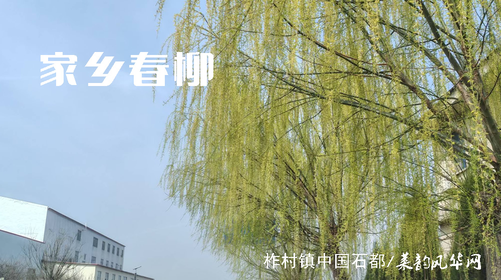 诗词四首•咏春 第 2 张