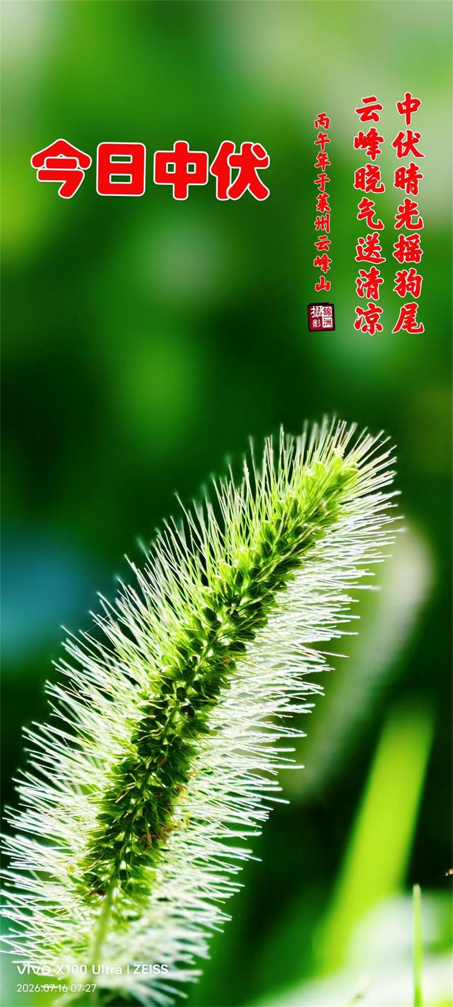 李锦洲摄影作品选：生活的问候 第 5 张