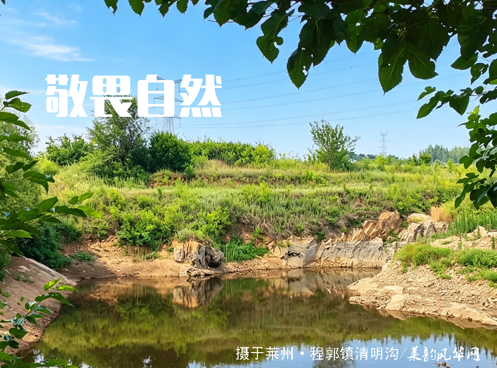 冬吃萝卜夏吃姜：解锁夏日养生的古老智慧 第 5 张