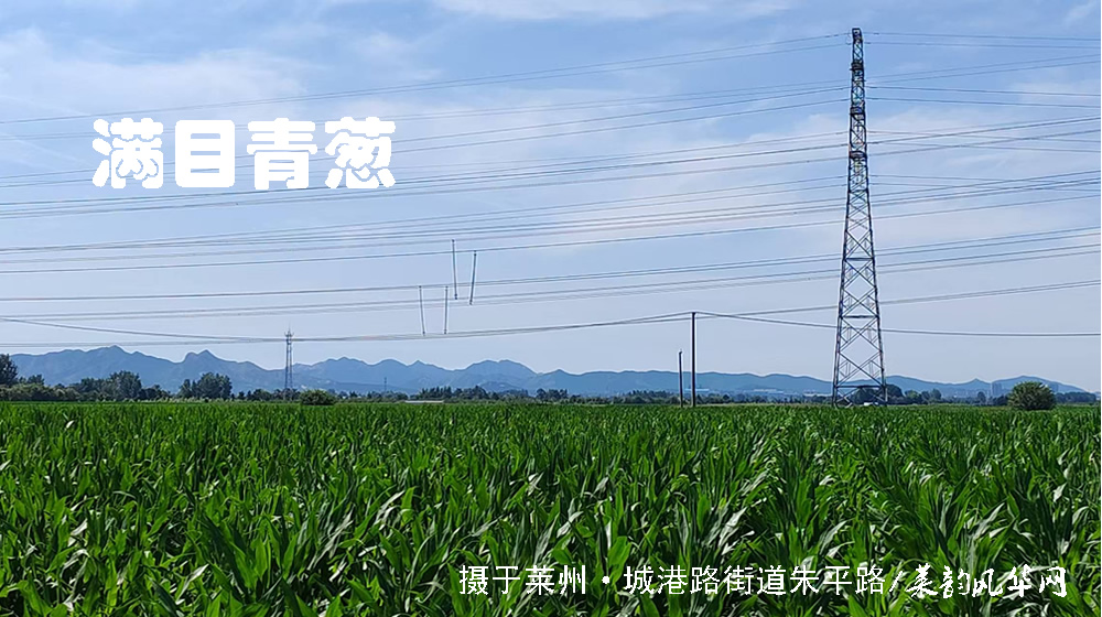 诗词四首•莱邑夏韵 第 1 张 诗词四首•莱邑夏韵 第 1 张