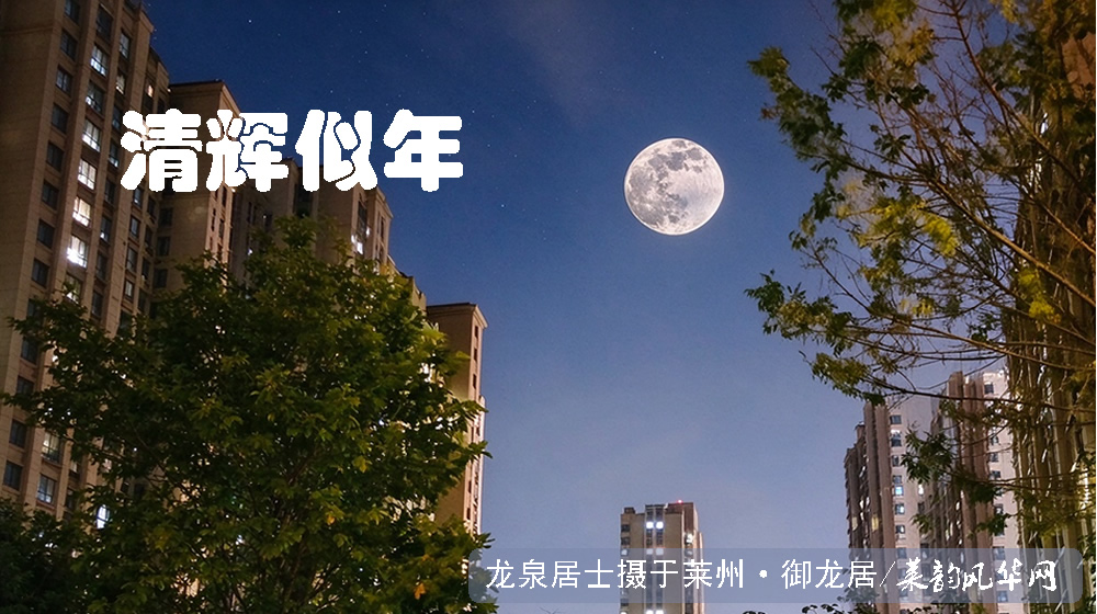 诗词四首•喜乐中秋 第 1 张