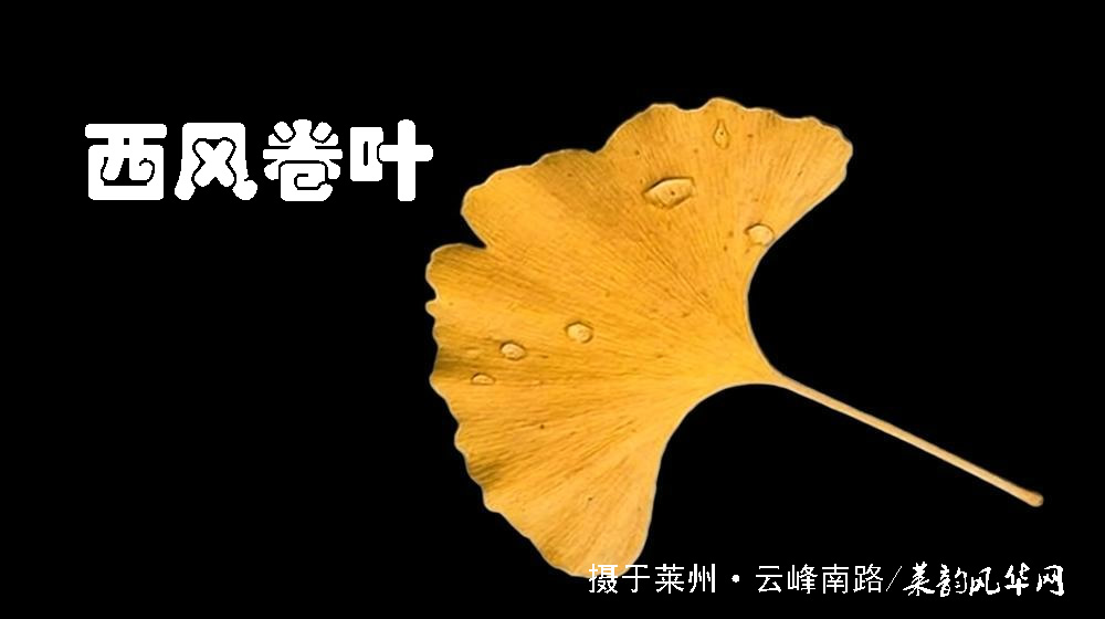 诗词十四首·寒露咏怀 第 1 张