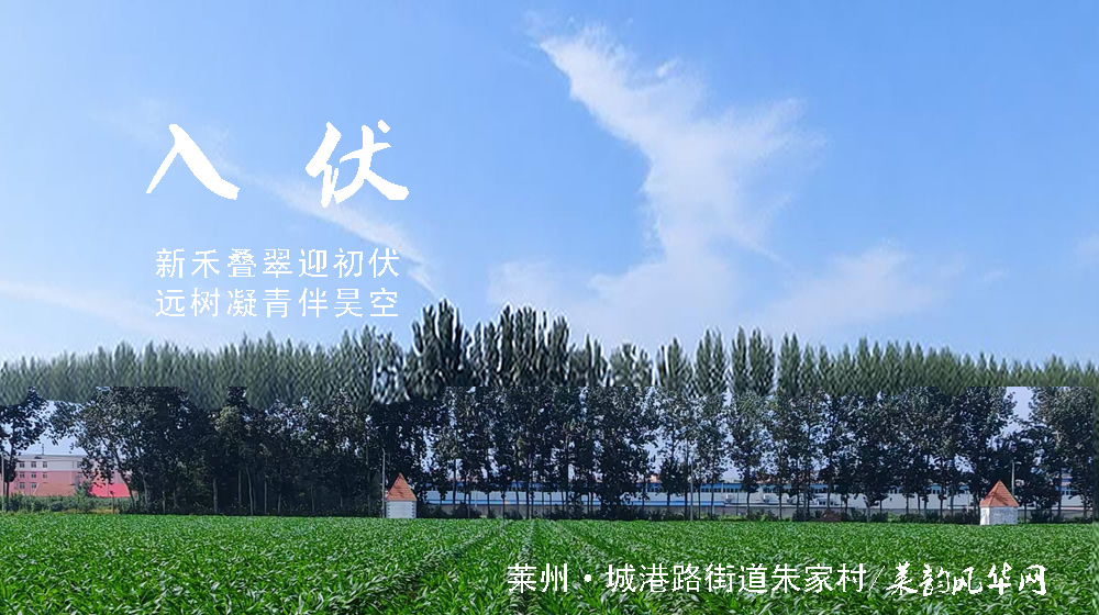 璀璨的莱州民俗文化——入伏 第 2 张