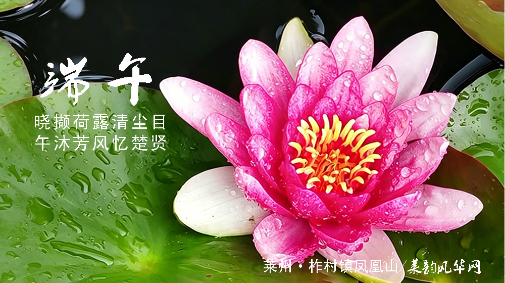 璀璨的莱州民俗文化——端午 第 6 张