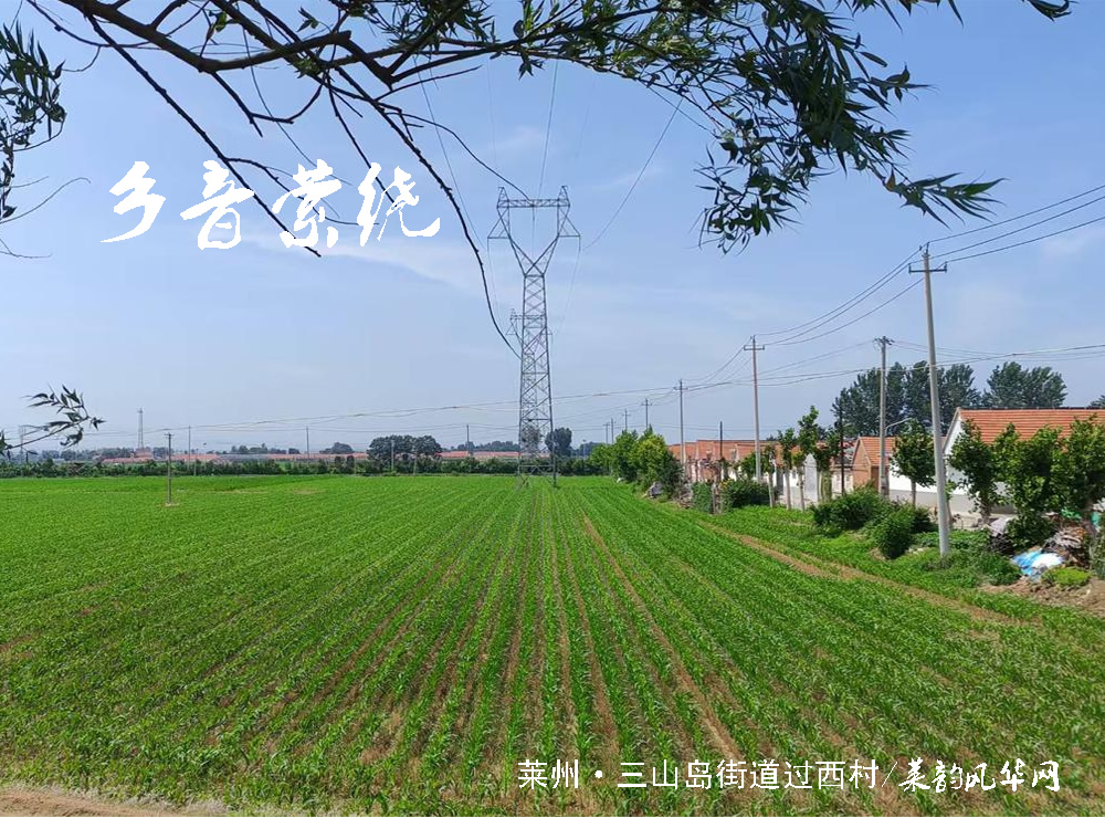 头伏十天伏，暑气的盛夏开篇    第 6 张