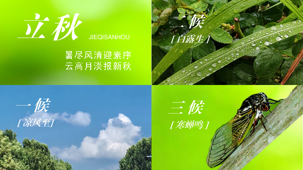 璀璨的莱州民俗文化——立秋 第 2 张 璀璨的莱州民俗文化——立秋 第 2 张
