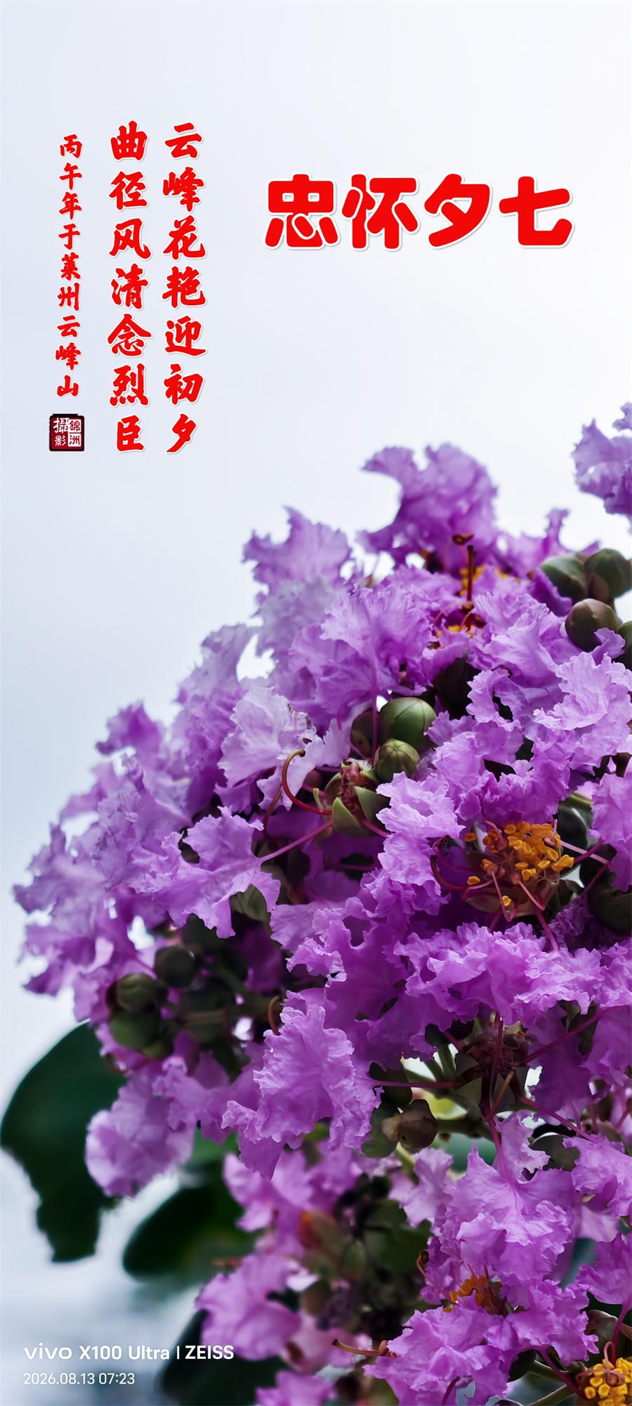 璀璨的莱州民俗文化——七夕节 第 1 张 璀璨的莱州民俗文化——七夕节 第 1 张