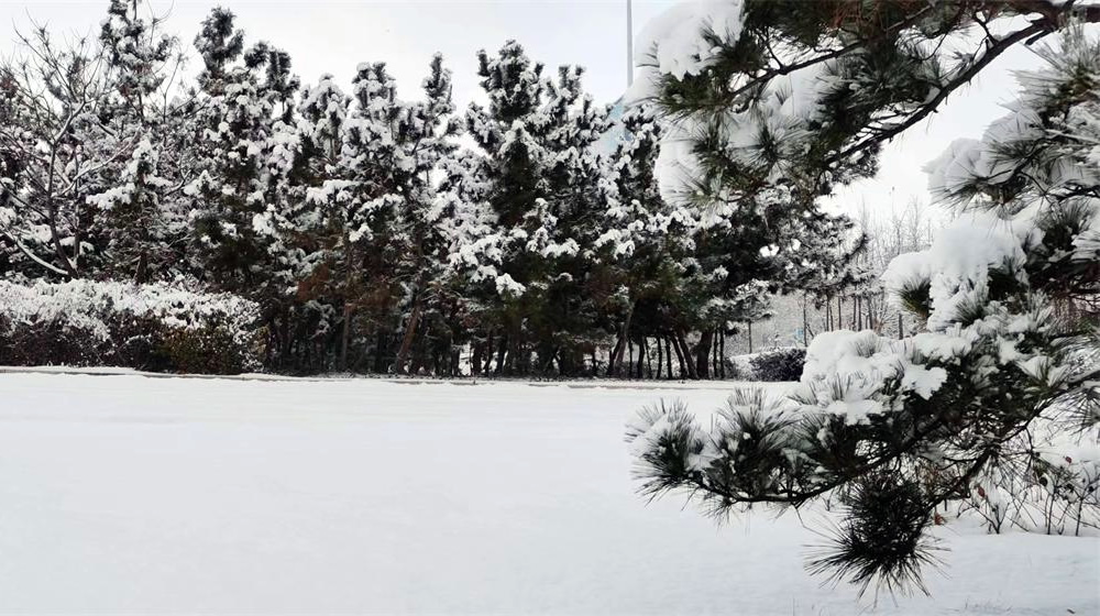 《大雪》诗五首 第 1 张 《大雪》诗五首 第 1 张