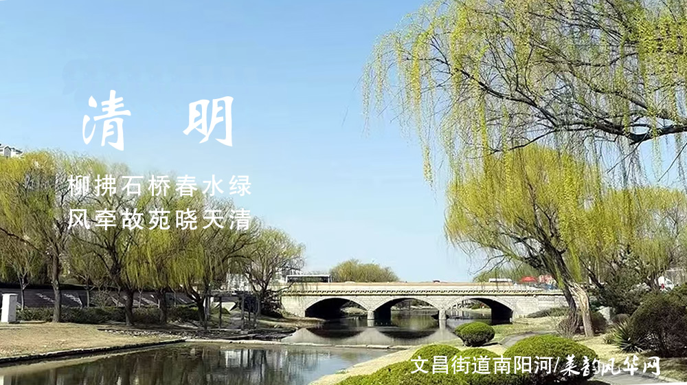 璀璨的莱州民俗文化——清明 第 4 张