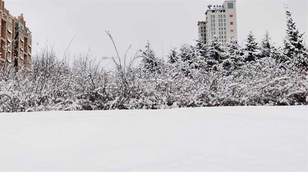 《大雪》诗五首 第 3 张 《大雪》诗五首 第 3 张