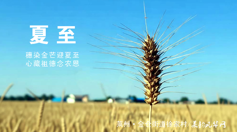 璀璨的莱州民俗文化——夏至 第 2 张