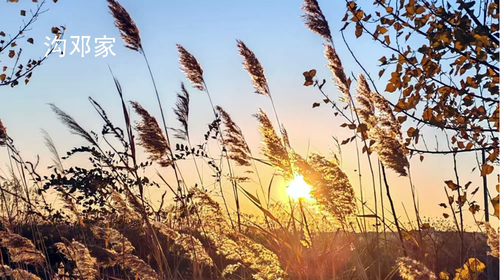 七绝•隆冬原野 第 3 张