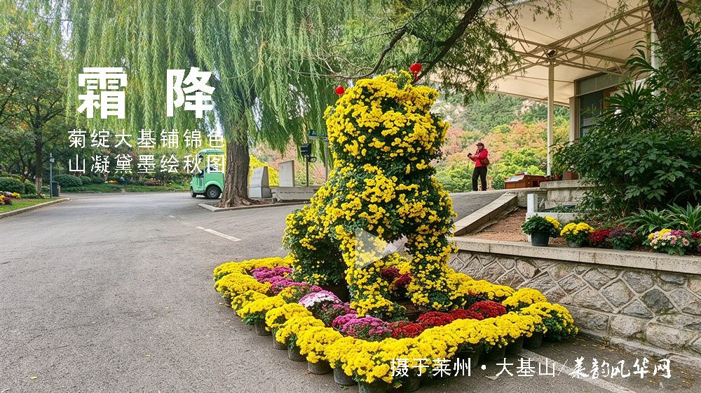 璀璨的莱州民俗文化——霜降 第 3 张
