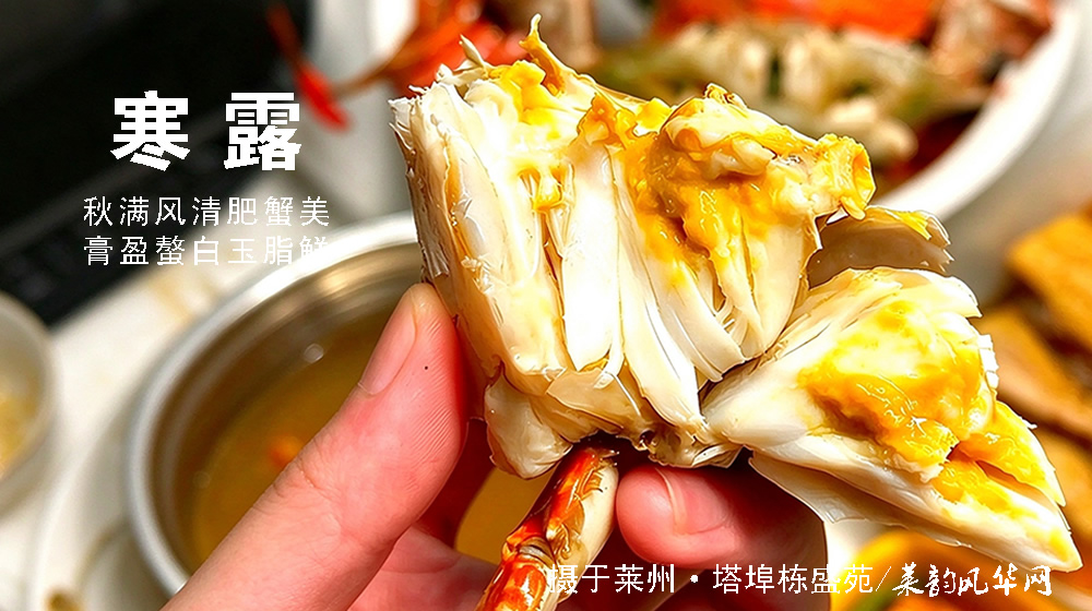 璀璨的莱州民俗文化——寒露 第 4 张