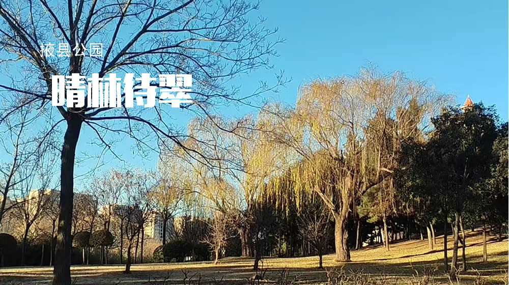 绝句三首•立春 第 2 张