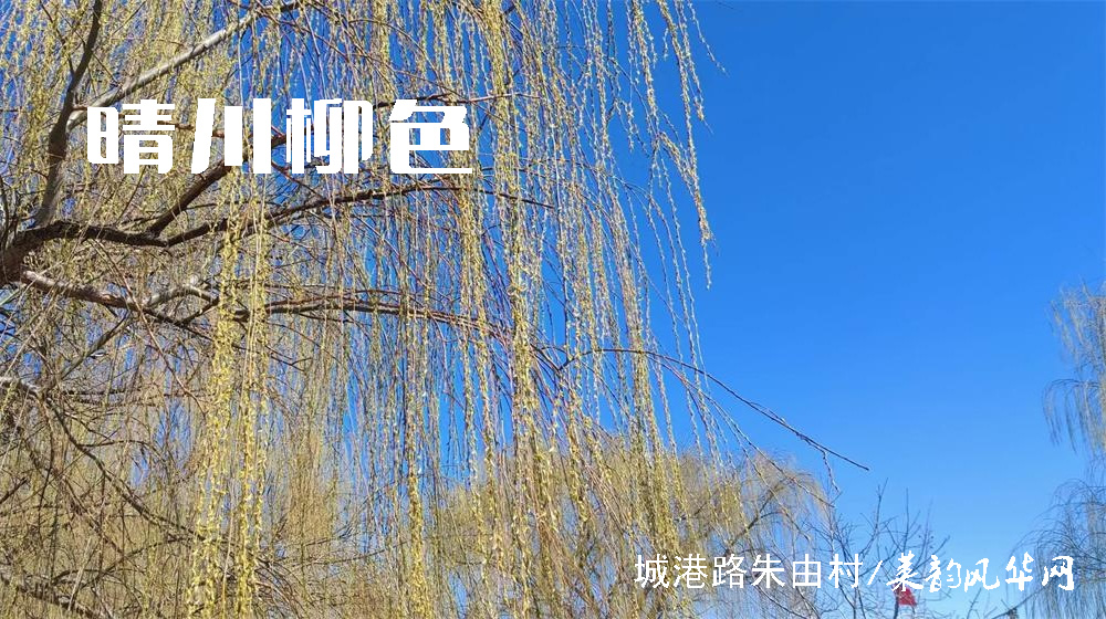 ​一七令•春 第 2 张