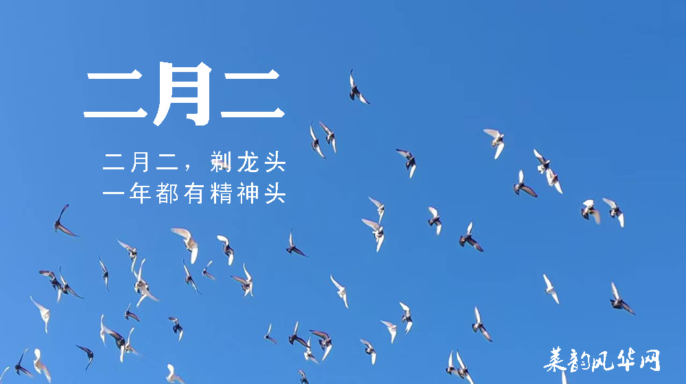 璀璨的莱州民俗文化——春分逢二月二 双节同庆 第 5 张