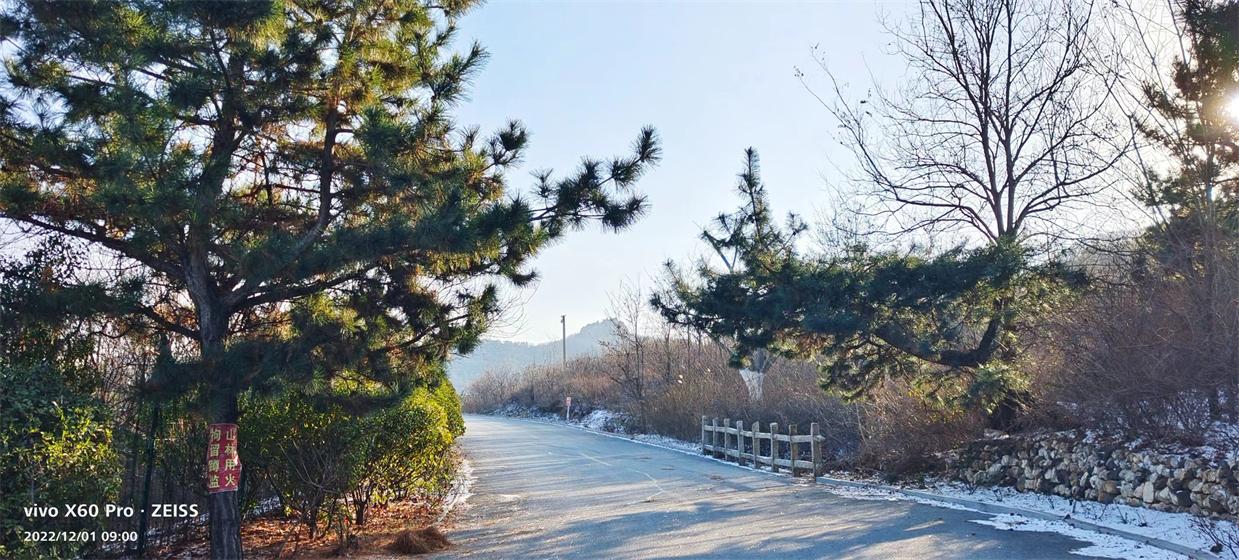 一七令•雪 第 1 张