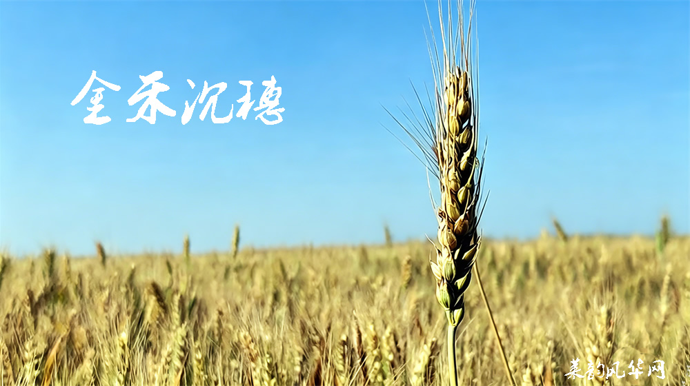 诗词七首•田园莱韵 第 4 张
