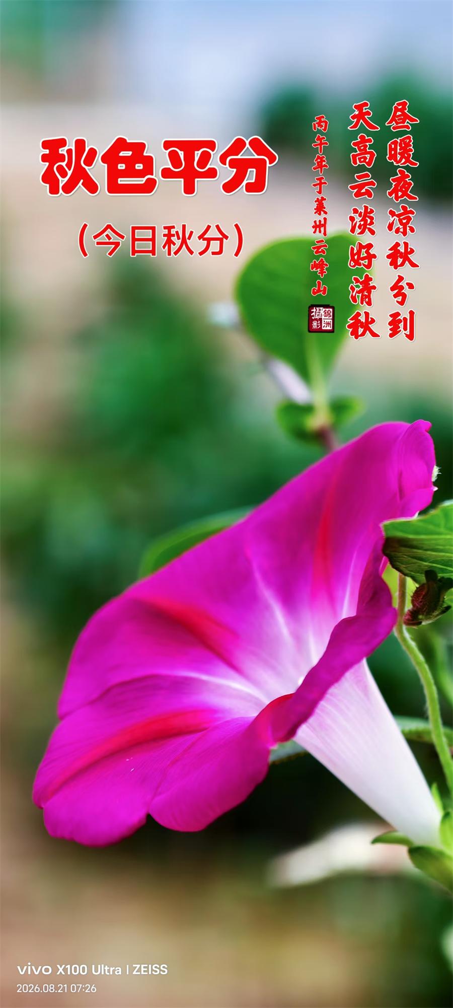 璀璨的莱州民俗文化——秋分 第 1 张