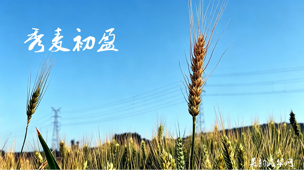 诗话小满,绝句十二首 第 2 张 诗话小满,绝句十二首 第 2 张