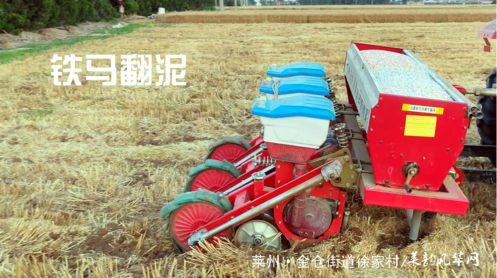七绝•莱州三夏 第 2 张 七绝•莱州三夏 第 2 张