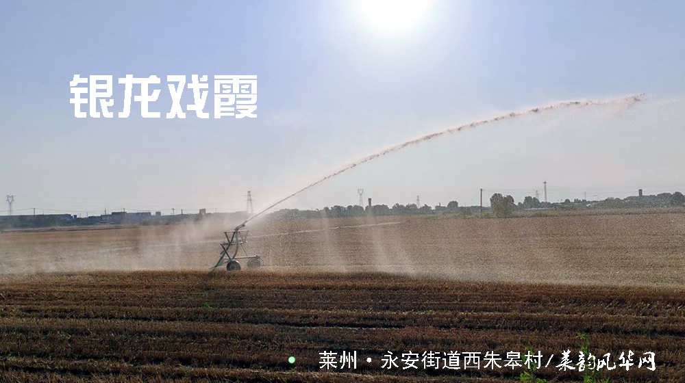 七绝•莱州三夏 第 3 张 七绝•莱州三夏 第 3 张