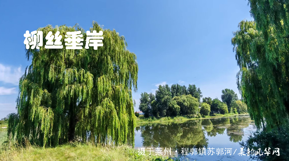 诗词四首•莱邑夏韵 第 4 张 诗词四首•莱邑夏韵 第 4 张